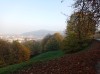 20211030_162224.jpg 20211030_162224.jpg