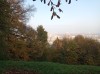 20211030_162228.jpg 20211030_162228.jpg