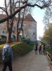 20211030_162450.jpg 20211030_162450.jpg