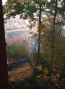 20211030_162611.jpg 20211030_162611.jpg