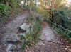 20211030_164524.jpg 20211030_164524.jpg