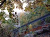 20211030_164529.jpg 20211030_164529.jpg