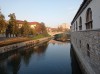 20211030_165144.jpg 20211030_165144.jpg