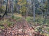 20211031_110101.jpg 20211031_110101.jpg