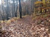 20211031_110736.jpg 20211031_110736.jpg