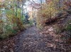 20211031_111135.jpg 20211031_111135.jpg