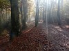 20211031_111719.jpg 20211031_111719.jpg