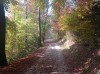 20211031_112244.jpg 20211031_112244.jpg