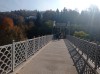 20211031_113943.jpg 20211031_113943.jpg
