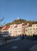 20211031_152955.jpg 20211031_152955.jpg
