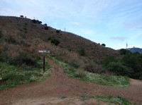 20211125_130841.jpg 20211125_130841.jpg