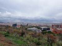20211125_130918.jpg 20211125_130918.jpg