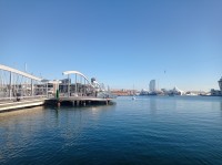 20211126_150556.jpg 20211126_150556.jpg