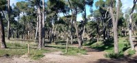 20211205_124115.jpg 20211205_124115.jpg