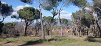 20211205_124527.jpg 20211205_124527.jpg