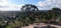 20211205_124817.jpg 20211205_124817.jpg