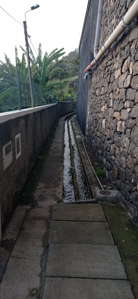 20220203_172130.jpg