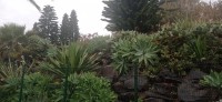 20220202_101821.jpg 20220202_101821.jpg