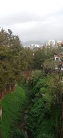 20220203_104837.jpg 20220203_104837.jpg