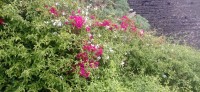 20220203_112013.jpg 20220203_112013.jpg