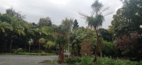 20220203_115431.jpg 20220203_115431.jpg