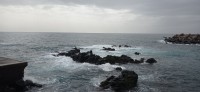 20220203_123004.jpg 20220203_123004.jpg