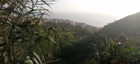 20220203_175005.jpg 20220203_175005.jpg