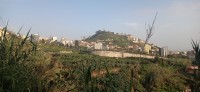 20220203_175028.jpg 20220203_175028.jpg