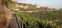 20220203_180555.jpg 20220203_180555.jpg
