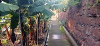 20220203_181321.jpg 20220203_181321.jpg