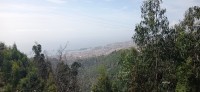 20220204_120655.jpg 20220204_120655.jpg