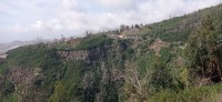20220204_120717.jpg 20220204_120717.jpg