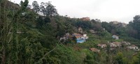 20220204_143731.jpg 20220204_143731.jpg