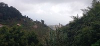 20220204_143735.jpg 20220204_143735.jpg