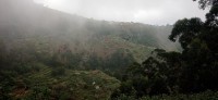 20220204_154117.jpg 20220204_154117.jpg