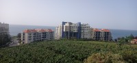 20220205_124421.jpg 20220205_124421.jpg