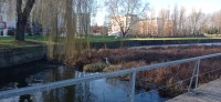 20220219_094405.jpg 20220219_094405.jpg