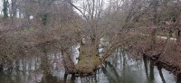 20220220_100526.jpg 20220220_100526.jpg