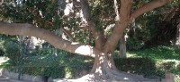 20220312_100846.jpg 20220312_100846.jpg