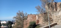 20220312_101331.jpg 20220312_101331.jpg
