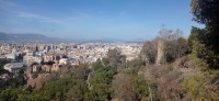 20220312_101931.jpg 20220312_101931.jpg