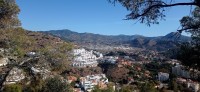 20220312_103452.jpg 20220312_103452.jpg