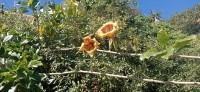20220312_105255.jpg 20220312_105255.jpg