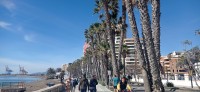 20220312_110619.jpg 20220312_110619.jpg