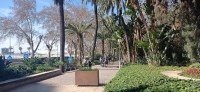 20220312_111715.jpg 20220312_111715.jpg