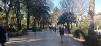 20220312_111743.jpg 20220312_111743.jpg