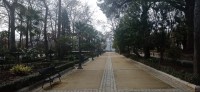 20220312_145145.jpg 20220312_145145.jpg