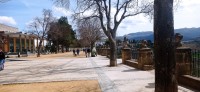 20220312_145339.jpg 20220312_145339.jpg
