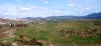 20220312_151416.jpg 20220312_151416.jpg