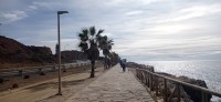 20220313_103305.jpg 20220313_103305.jpg